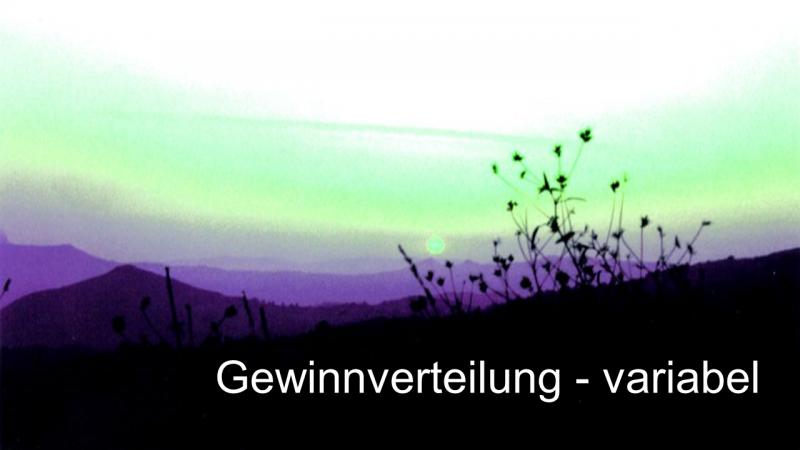 Variable Gewinnverteilung