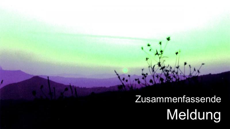 Zusammenfassende Meldung in Kürze