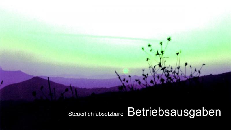 Steuerberatung für GmbH Bilanz Jahresabschluss 67 steuerlich absetzbare Betriebsausgaben