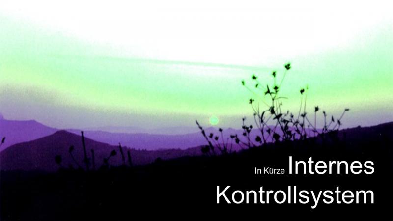 Internes Kontrollsystem in Kürze