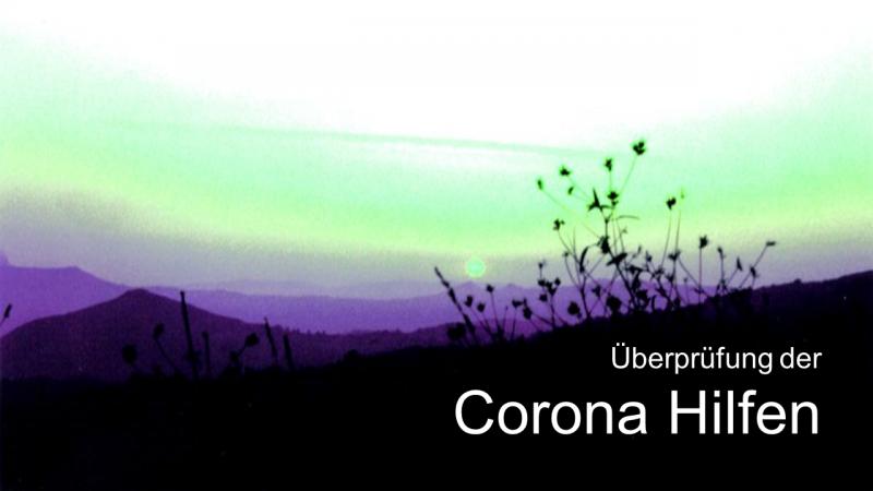 Überprüfung der Corona Hilfen