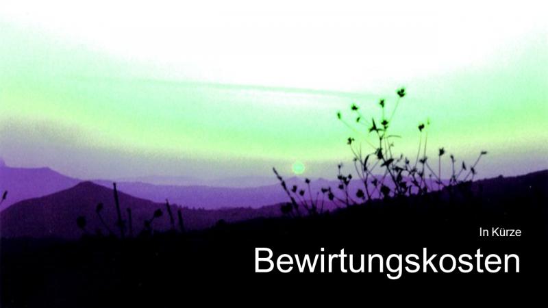 Bewirtungskosten in Kürze