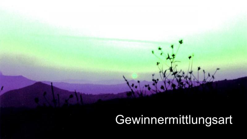 Gewinnermittlungsart