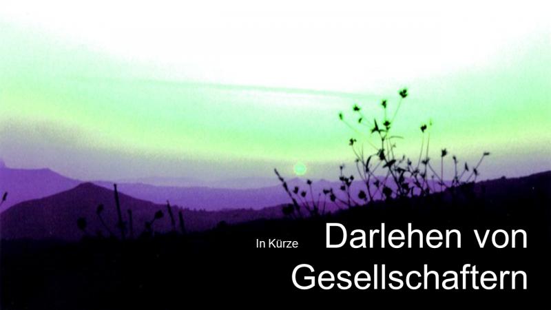 Gesellschafterdarlehen in Kürze