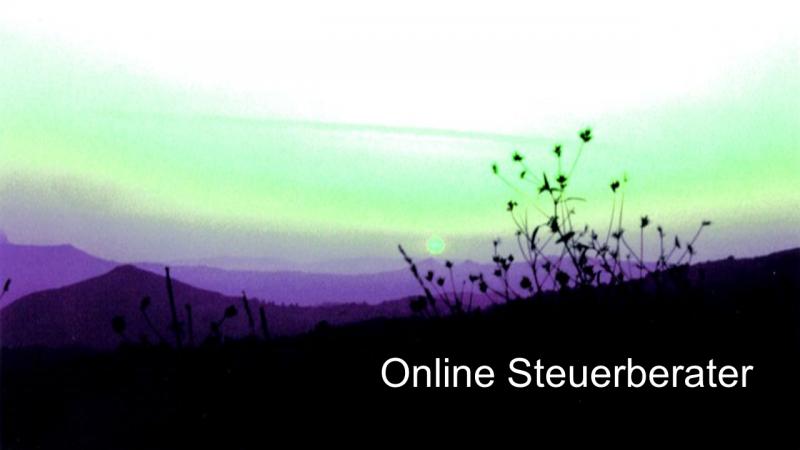 Online Steuerberater