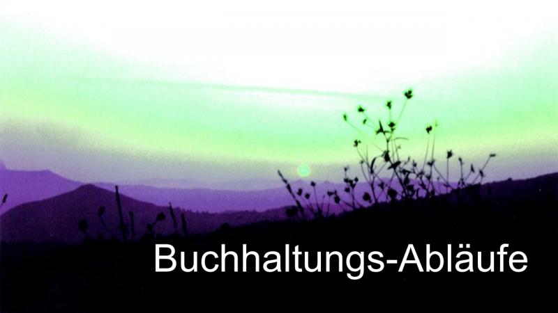 Buchhaltungsabläufe so Steuerberater