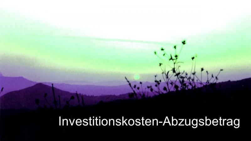 Steuerberatung für GmbH Bilanz Jahresabschluss 67 Investitionskosten-Abzugsbetrag