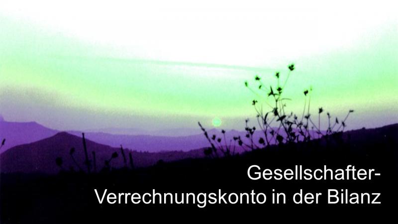 Gesellschafter-67-Verrechnungskonto-in der Bilanz