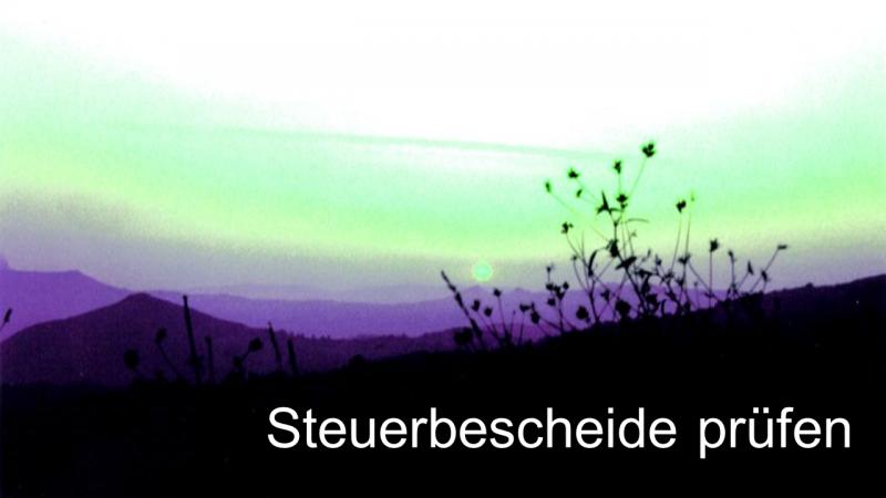 Steuerberater prüft Steuerbescheide