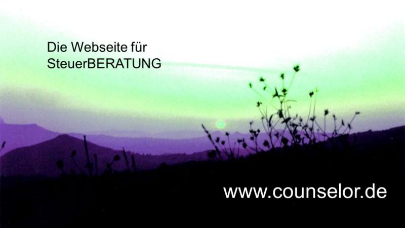 Steuerberater Norderstedt Webseite