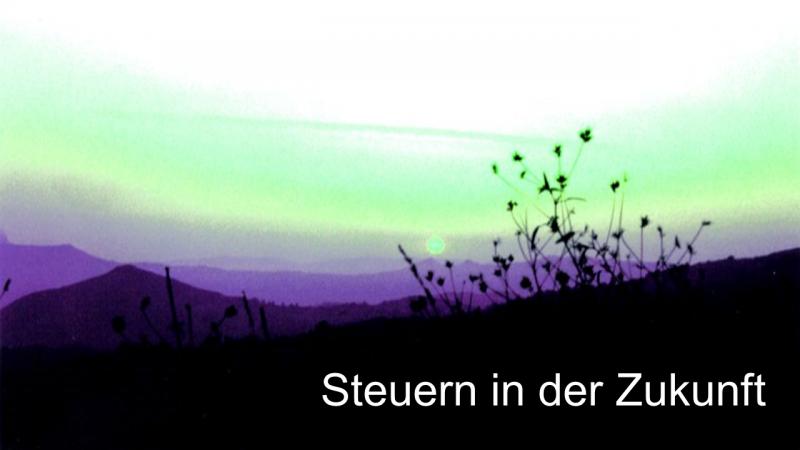 Steuern in der Zukunft so Steuerberater