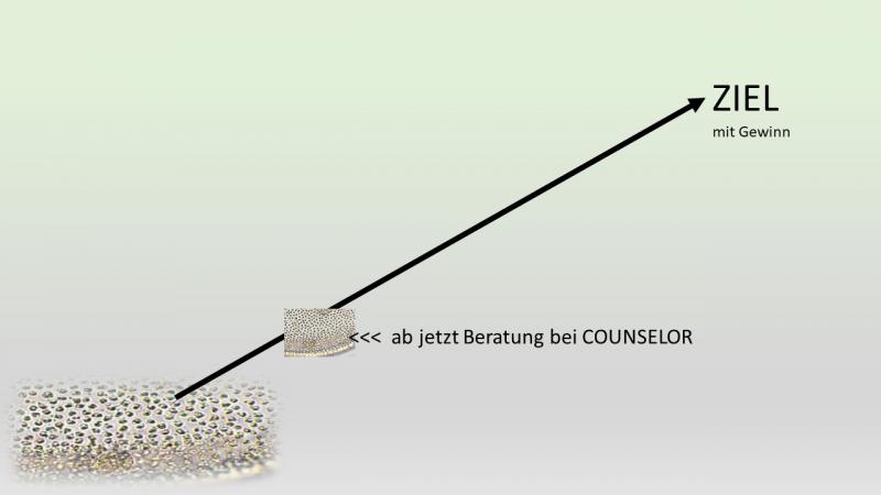 Beratung mit Ziel1