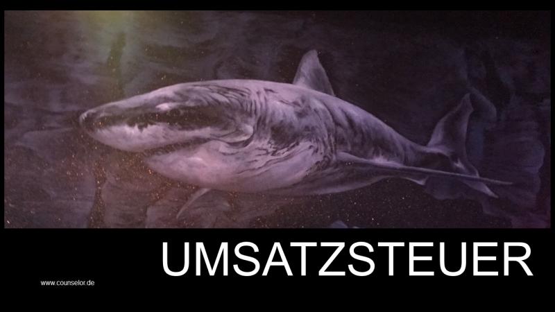 Umsatzsteuer Steuerberater